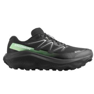 SALOMON ULTRA FLOW 2 GTX
