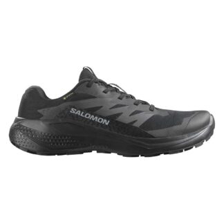 Salomon ALPHAGLIDE GTX