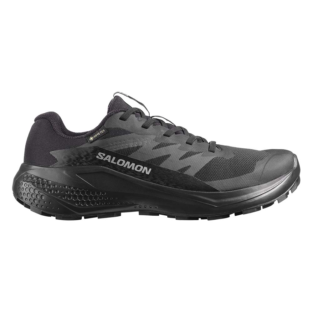 Salomon ALPHAGLIDE GTX W